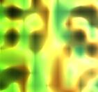 driod1x1.jpg
